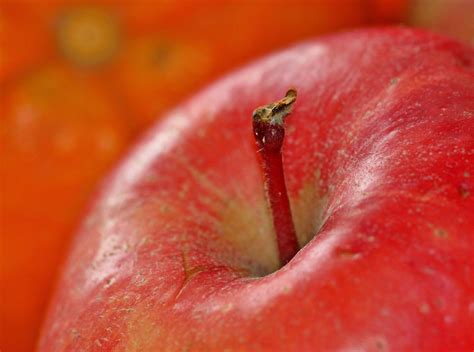 Apple Fruit Fruits Free Photo On Pixabay