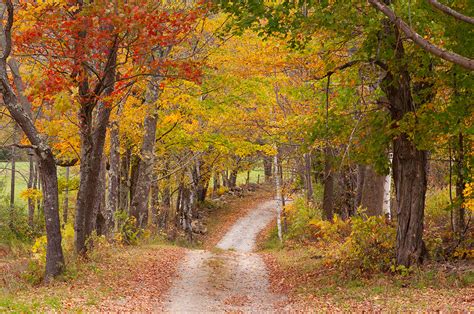 How The Vermont Fall Foliage 2020 Season Is Shaping Up Podcast