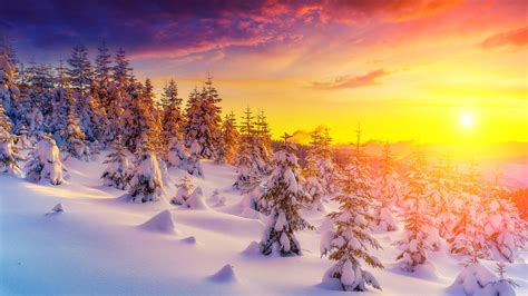 Sunset In Winter Landscape Snow Tree Trees Snowdrops Picture Wallpaper ...