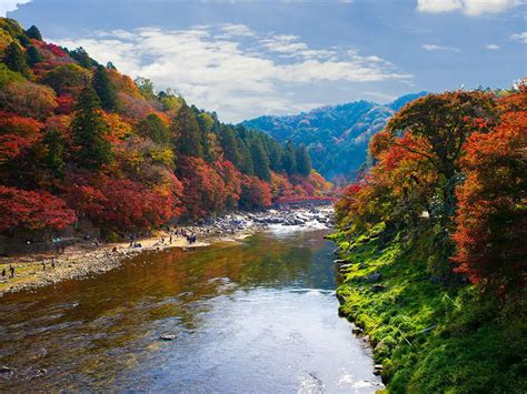 Autumn Leaves And Autumn Festivals In Nagoya And Aichi Nagoya Is Not