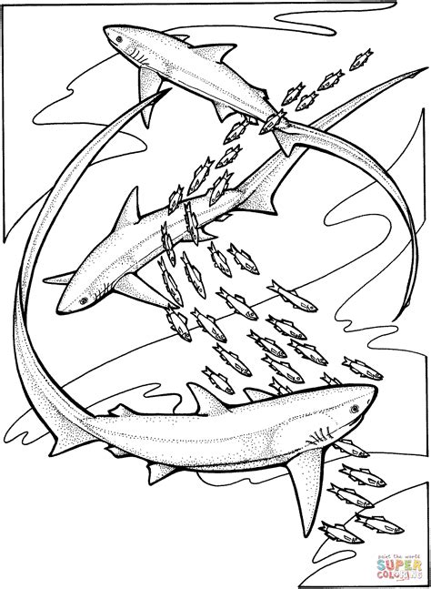 Vector cartoon silhouette outline black line art drawing illustration of angry toothy shark fish in the ocean water waves.laser cutting.coloring pages for kids.plotter cut.vinyl wall sticker. Drawing Pictures Of Sharks at GetDrawings | Free download