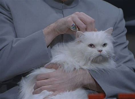 Dr Evils Cat Mr Bigglesworth As He First Appears In Austin Powers