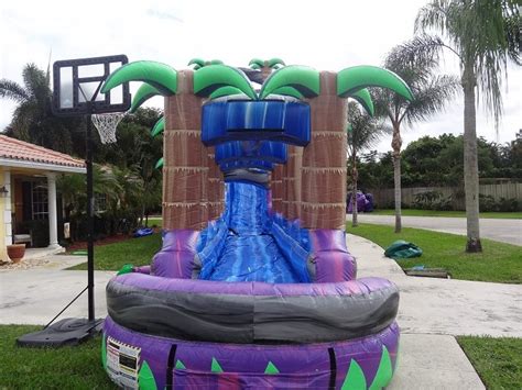 Purple Paradise Inflatable Water Slides With Pool Adult Inflatable
