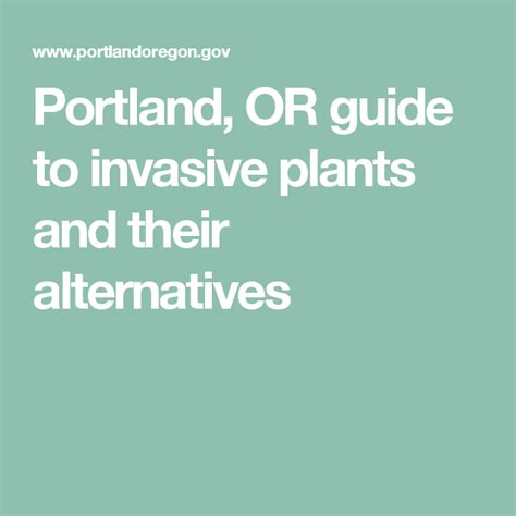 Portland Or Guide To Invasive Plants And Their Alternatives Vista