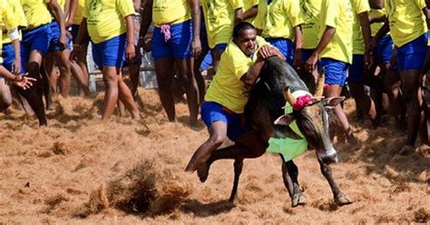 Hailing from a modest background in vazhapadi, salem, mr. Pass ordinance to allow jallikattu this Pongal: Tamil Nadu ...