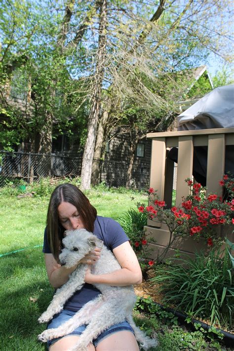 Saying Goodbye to Gromit. Grieving the loss of my furry soulmate | by