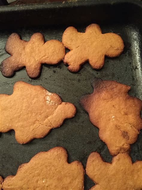 Burnt Cookies A Reintroduction Mountain Mama Adventures