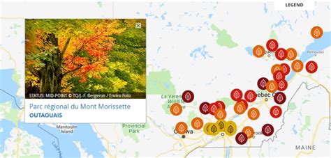 Seeing Red And Yellow And Orange 5 Spots To Catch The Fall Colours