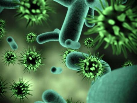 ¿cuáles Son Los Virus Biología Tipos Y Clasificación De Los Virus