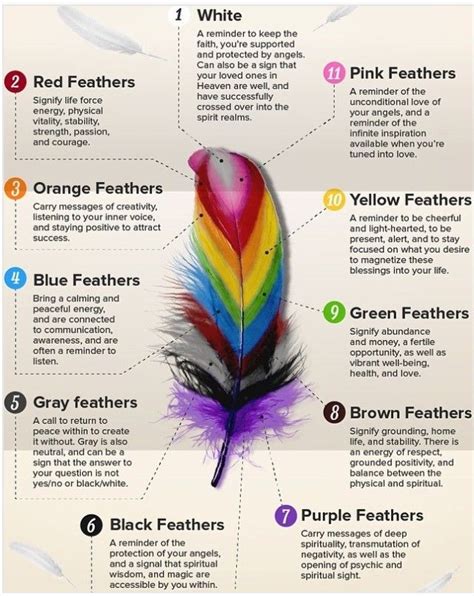 Plumas Color Y Significado Finding Feathers Spirituality Feather