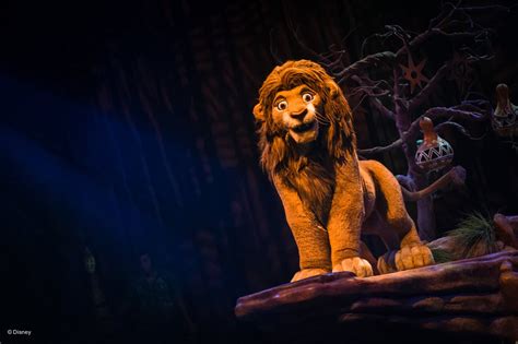 Lion King Show At Animal Kingdom The Memorable Journey ~ The
