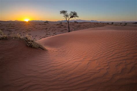 Sunset At The Kalahari Sand Dunes Stock Photo Download