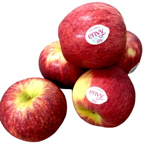 Envy Apple 5s M New Zealand Mygroser