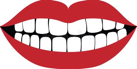 Smiling Mouth Showing White Healthy Teeth Vector Illustration Stock