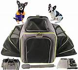 Pictures of Dog Carrier For Airplane Cabin