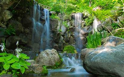 Waterfall Nature Rocks Trees River Plants Wallpapers
