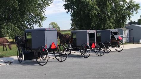 Amish Horse Buggies Parking Lot Youtube