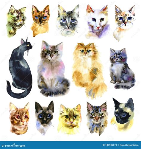 Set Of Watercolor Cats Isolated Cat Hand Drawn Set Stock Image