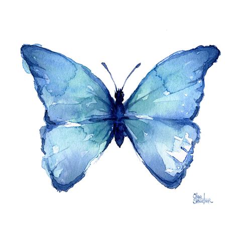 Blue Butterfly Watercolor Painting By Olga Shvartsur Pixels Merch
