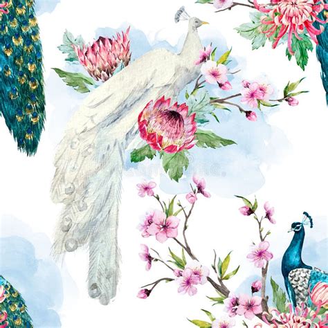 watercolor peacock and flowers pattern stock illustration illustration of spring flower 91905149