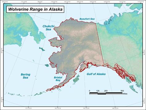 Wolverine Range Map Alaska Department Of Fish And Game