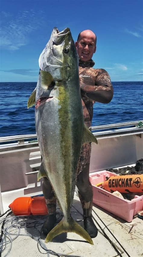 Nsp053 Nat Davey Spearfishing 50kg Yellowtail Kingfish Wr Noob