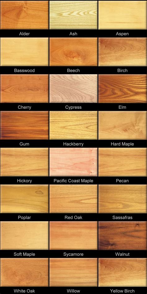 Wood Identification Chart Types Of Wood Woodworking Wood Species My