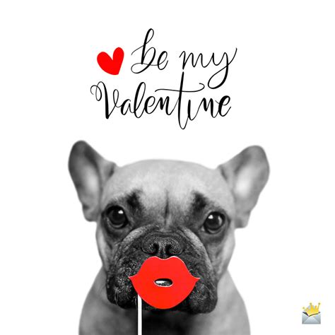 Download and share happy valentine day quotes, messages and greetings. Funny Valentine's Day Quotes | Now That Cupid Shot At Me...