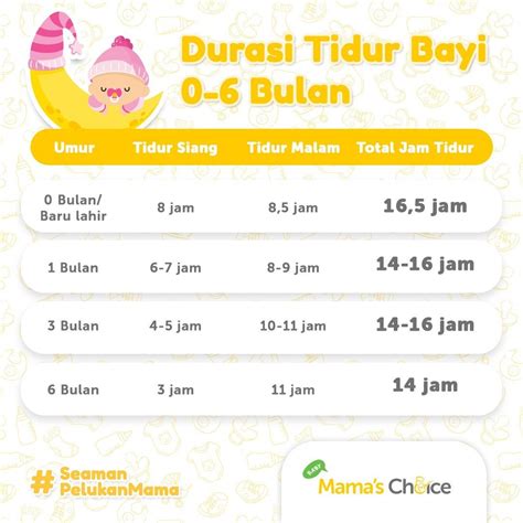 Jadwal Makan Bayi Usia 6 Bln Diana Ince