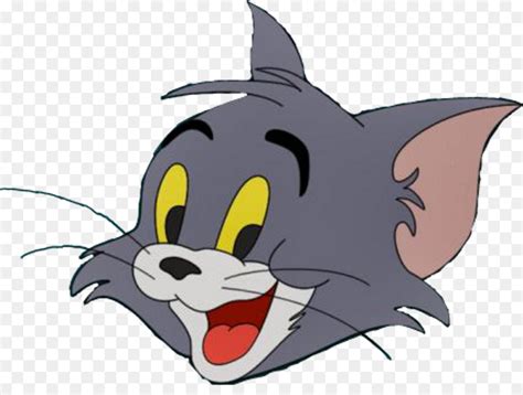 Cartoon Cat Tom And Jerry