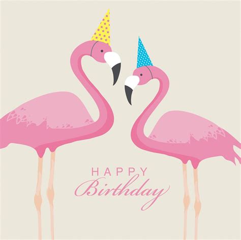 Hbd Flamingo Flamingo Happy Birthday Happy Birthday Greetings Flamingo Birthday