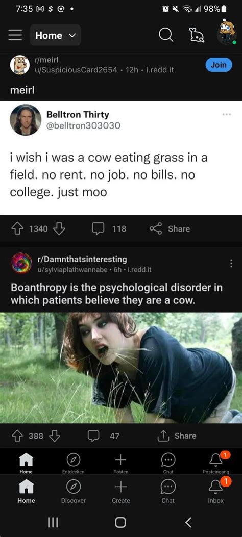 Im Having This Sensation That I Too Should Be A Cow R