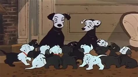 Yarn And Fifteen Plus Two A Hundred And One 101 Dalmatians