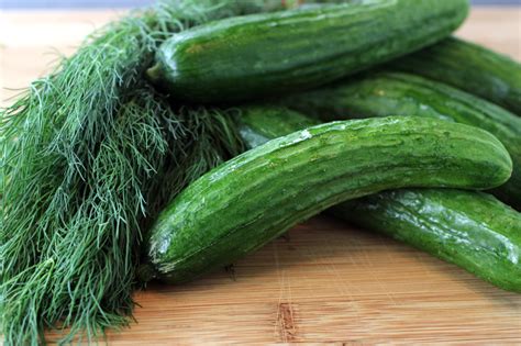 Pieces of the same size, shape, and thickness will dry evenly. Cool As Salt and Vinegar Cucumbers | Food Gal