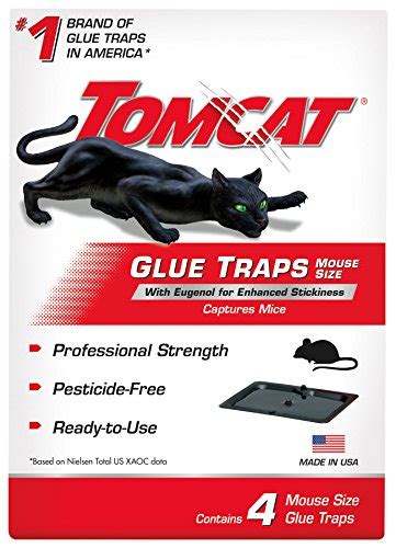 Best Tomcat Pest Control Traps Buying Guide And Review
