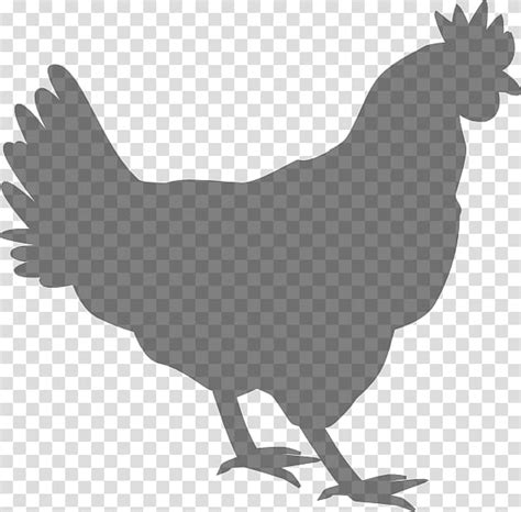 Free Download Chicken Rooster Poultry Chicken Transparent Background PNG Clipart HiClipart