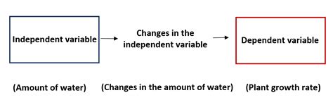 Independent vs. Dependent Variables: What's the Difference? - Statology