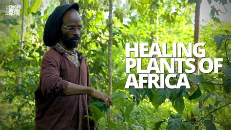 African Herbalist Shows Us Medicinal Plants And Herbs That Protect