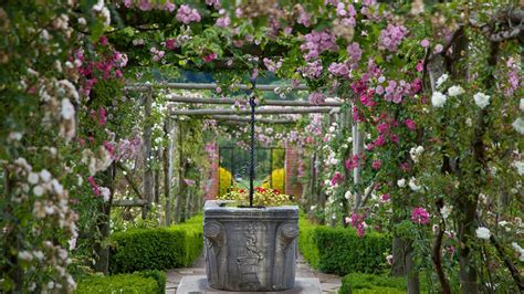 The Stunning Edwardian Walled Rose Garden Is A Sight To Behold In