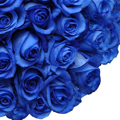 Fresh Cut Tinted Blue Roses 20 Pack Of 100 By Inbloom Group
