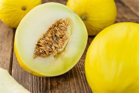Como plantar melão amarelo cultivo tipos benefícios e mais