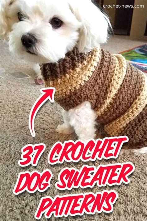 Crochet Dog Sweater Pattern Artofit