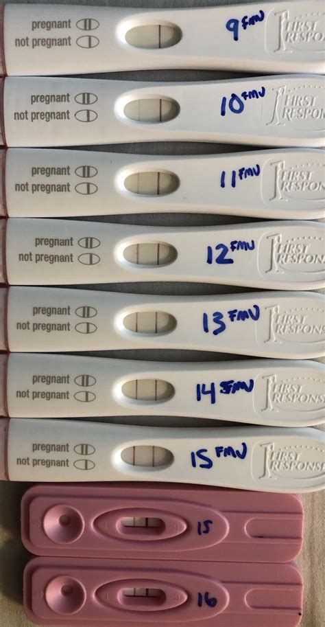 Frer Progression With A Couple Bonus Dollar Store Cheapies Just Because