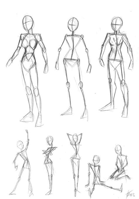 Female Body Anatomy By DerangedMeowMeow On DeviantART Anatomy