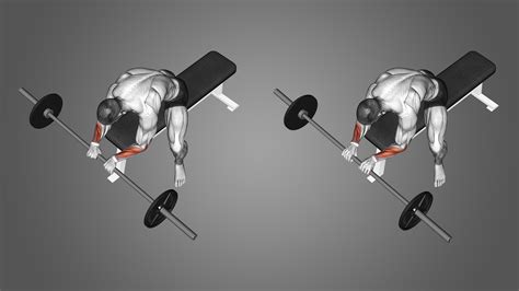 Barbell Reverse Wrist Curls Benefits Muscles Worked And More