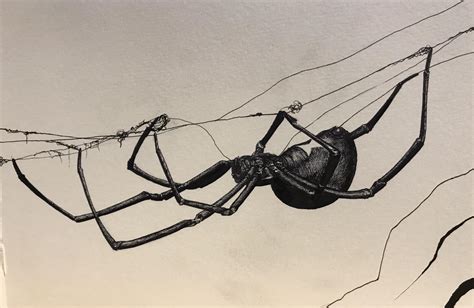 Black Widow Ink 5x8 Watercolorpaper Rdrawing