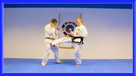 Taekwondo Kick To The GROIN OUCH YouTube