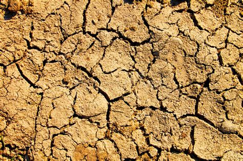 Barren Earth Texture Royalty Free Stock Images Image 12934739