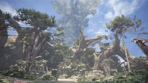 √ Ancient Forest Mhw Alumn Photograph