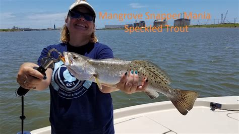 Fishing With Sendi And Don Episode 4 Mangrove Snapper Mania And Speckled